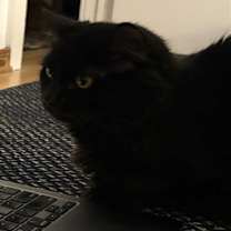 Thumbnail photo of RENEE #2