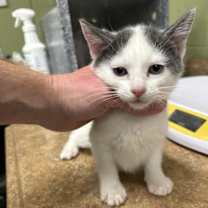 Thumbnail photo of JONNY #2