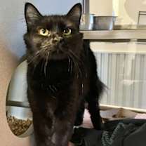 Thumbnail photo of RENEE #3