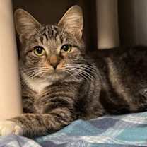 Thumbnail photo of Hanna #1