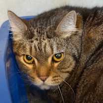 Thumbnail photo of Jack #2