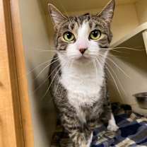 Thumbnail photo of Winnie #2