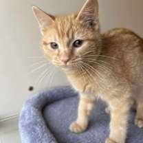 Thumbnail photo of Hugs #1