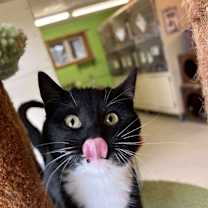 Thumbnail photo of Toe Biter #1