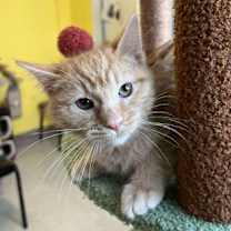 Thumbnail photo of Hugs #2