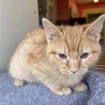 Thumbnail photo of Hugs #3