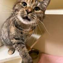 Thumbnail photo of Anna #2