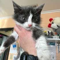 Thumbnail photo of Catalie Portman #2