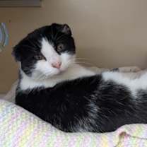 Thumbnail photo of Diana #2