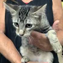 Thumbnail photo of Professor #1