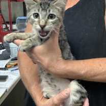 Thumbnail photo of Professor #2