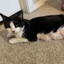 Thumbnail photo of Marti #1