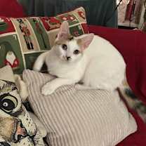 Thumbnail photo of Hope van Hadfield #1