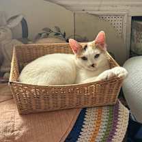 Thumbnail photo of Hope van Hadfield #2