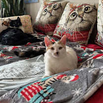 Thumbnail photo of Hope van Hadfield #4