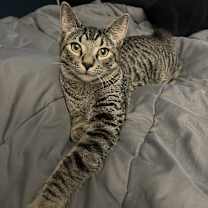 Thumbnail photo of Myles #2