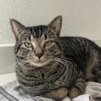 Thumbnail photo of Myles #3