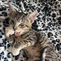 Thumbnail photo of Ellie #2