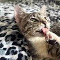 Thumbnail photo of Ellie #4