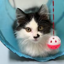 Thumbnail photo of 8-Track #1