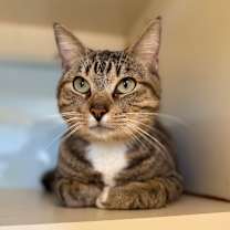 Thumbnail photo of Brad #1