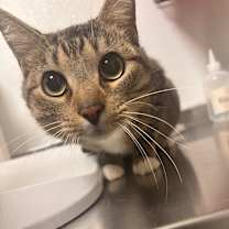 Thumbnail photo of Brad #2