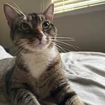 Thumbnail photo of Max #1