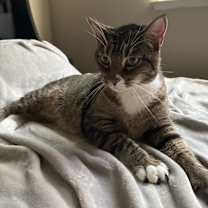 Thumbnail photo of Max #2