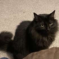 Thumbnail photo of Agnès #1