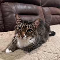 Thumbnail photo of Max #3