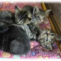 Thumbnail photo of Velvette Foster #3