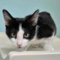 Thumbnail photo of Roddy #2