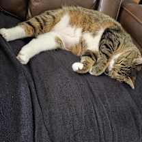 Thumbnail photo of Dee #1