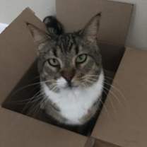 Thumbnail photo of Stewie #1