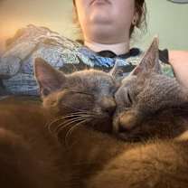 Thumbnail photo of Fae #3