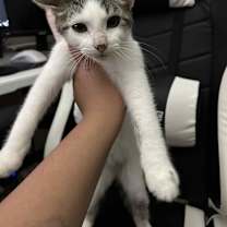 Thumbnail photo of Roger #2