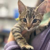 Thumbnail photo of Bliss #2