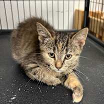 Thumbnail photo of Maria #2