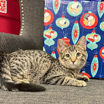 Thumbnail photo of Squints #3