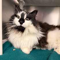 Thumbnail photo of Glenda #2