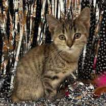 Thumbnail photo of Maria #4