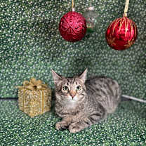 Thumbnail photo of Squints #4