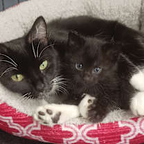 Thumbnail photo of Bean #2