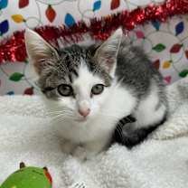 Thumbnail photo of Teagan #3