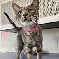 Thumbnail photo of Zoe #1