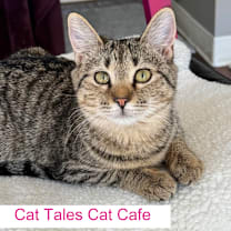 Thumbnail photo of Buffy #1