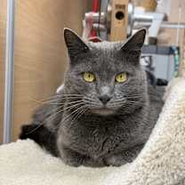 Thumbnail photo of Harper #1