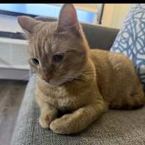 Thumbnail photo of Chico #1