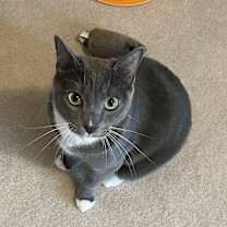 Thumbnail photo of Thora #2