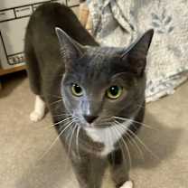 Thumbnail photo of Thora #3